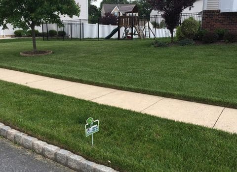Lawn Fertilization Program NJ