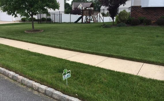 Lawn Fertilization Program NJ