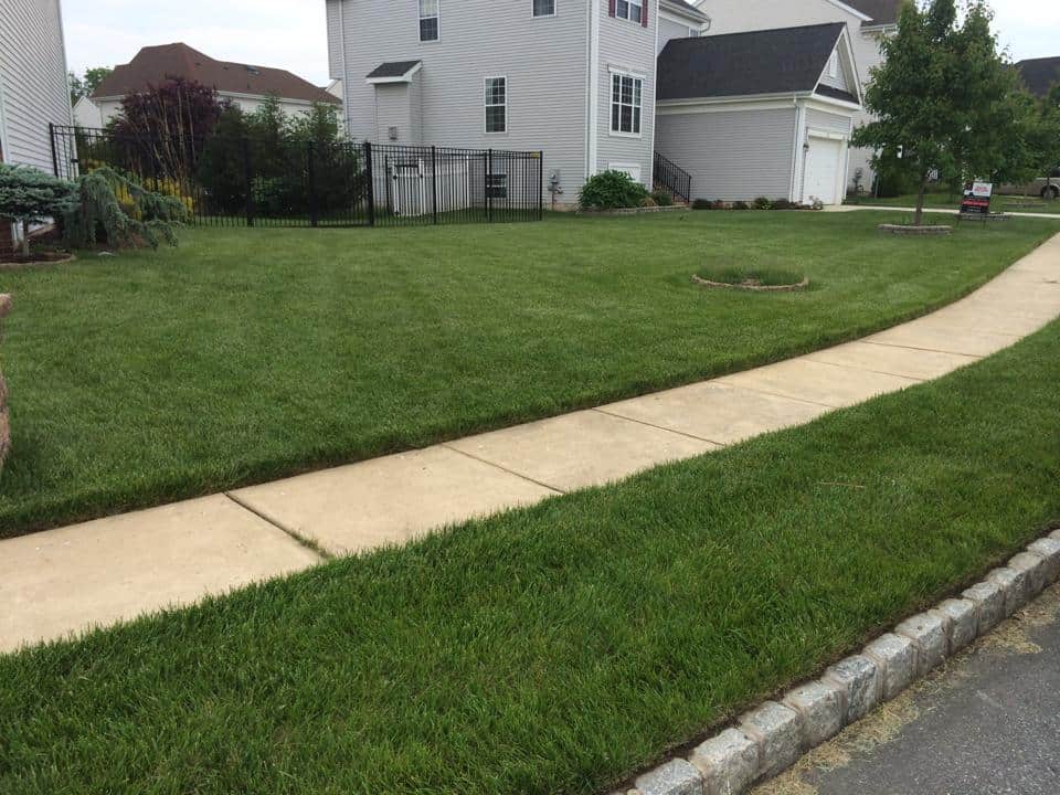 Lawn