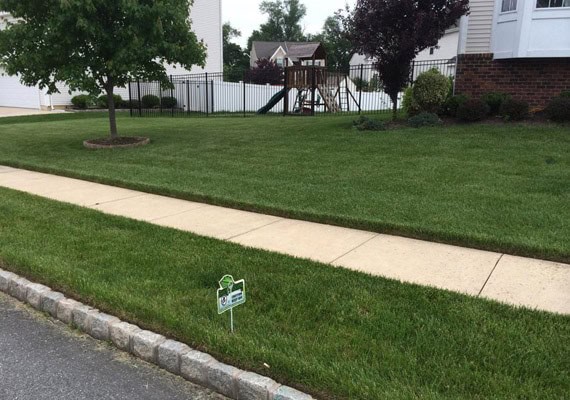 Lawn Fertilization