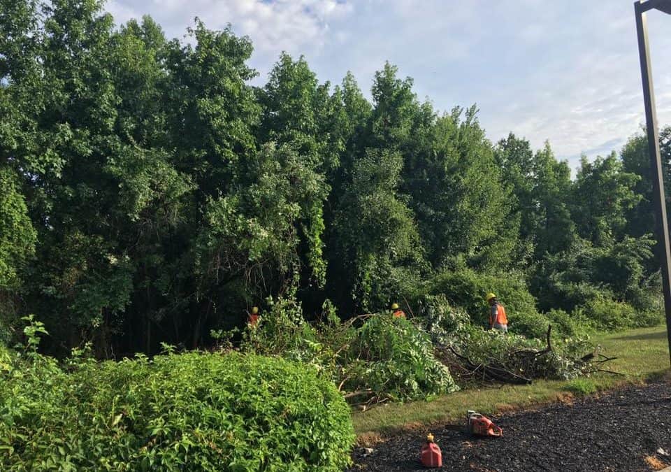 Land & Site Clearing at Industrial Site