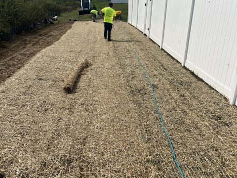 Erosion Control