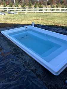 Fiberglass Pool